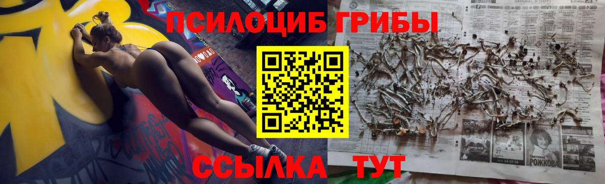Псилоцибиновые грибы MAGIC MUSHROOMS Елец