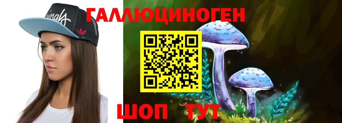 цена   Вход с VPN  Елец  Псилоцибиновые грибы MAGIC MUSHROOMS 